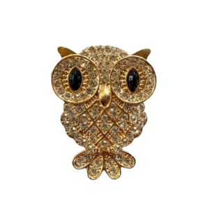Enchanted Golden Wisdom Owl Brooch