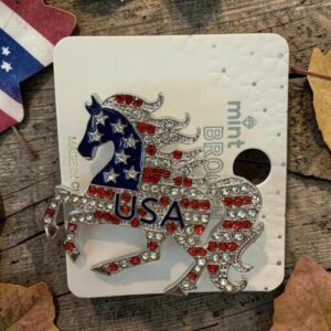 American Horse USA Brooch